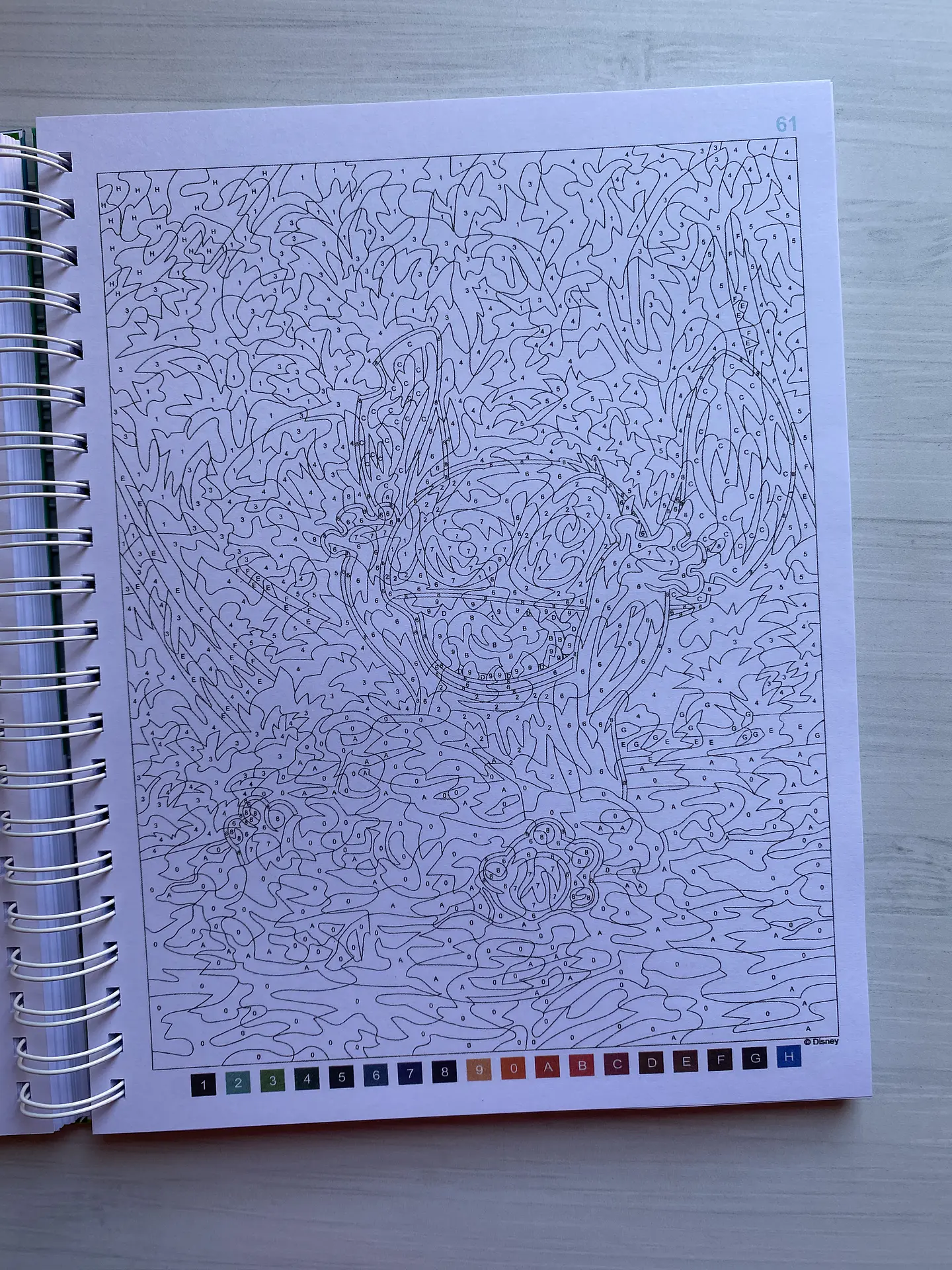 Libro para colorear 