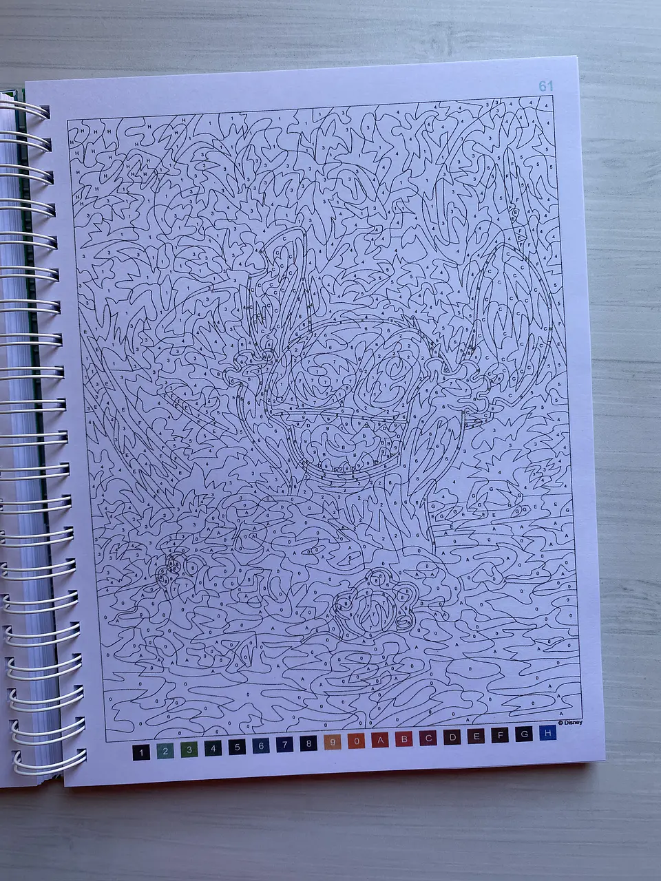Libro para colorear 