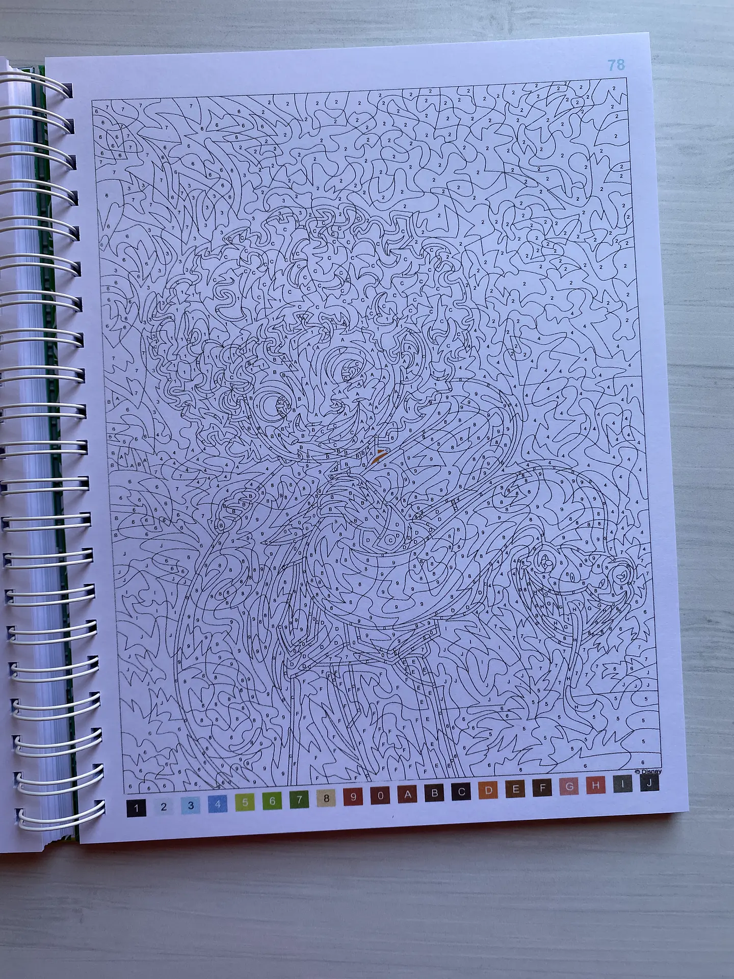 Libro para colorear 
