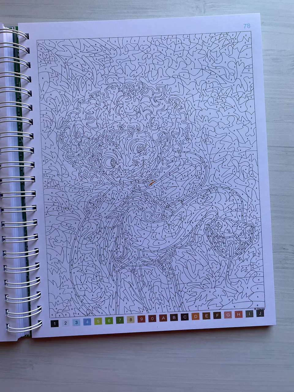 Libro para colorear 