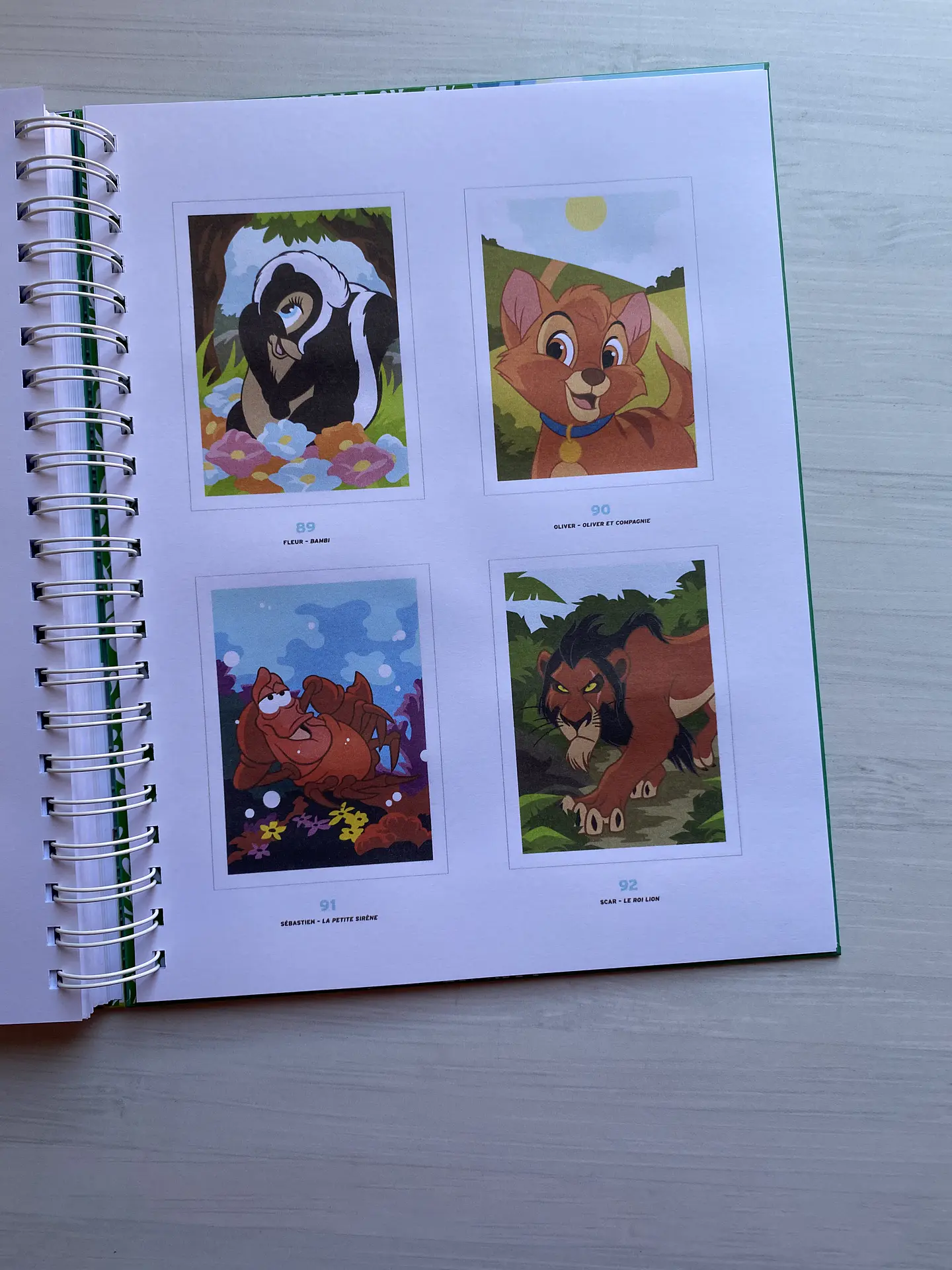 Libro para colorear 