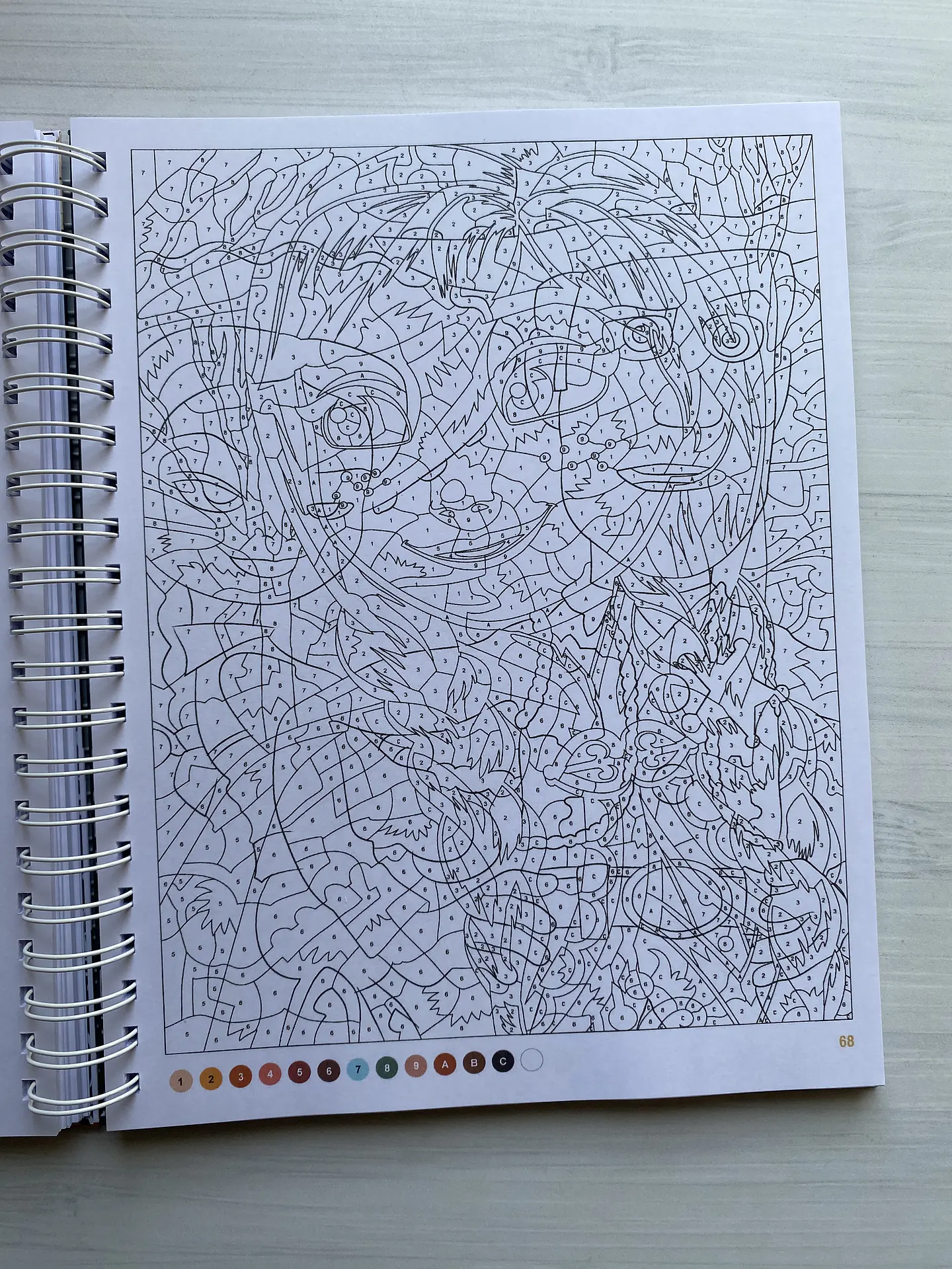 Libro para colorear 