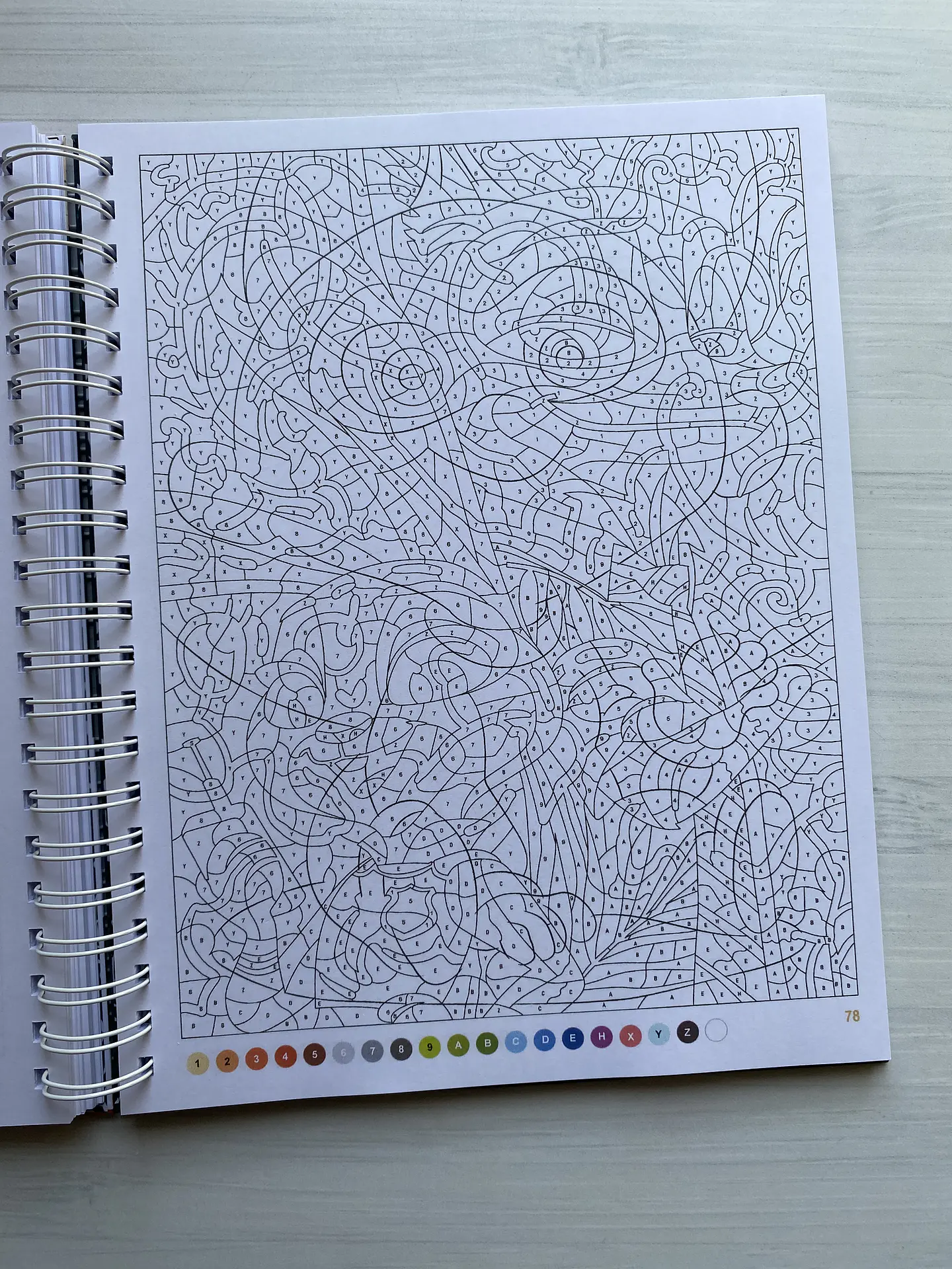 Libro para colorear 