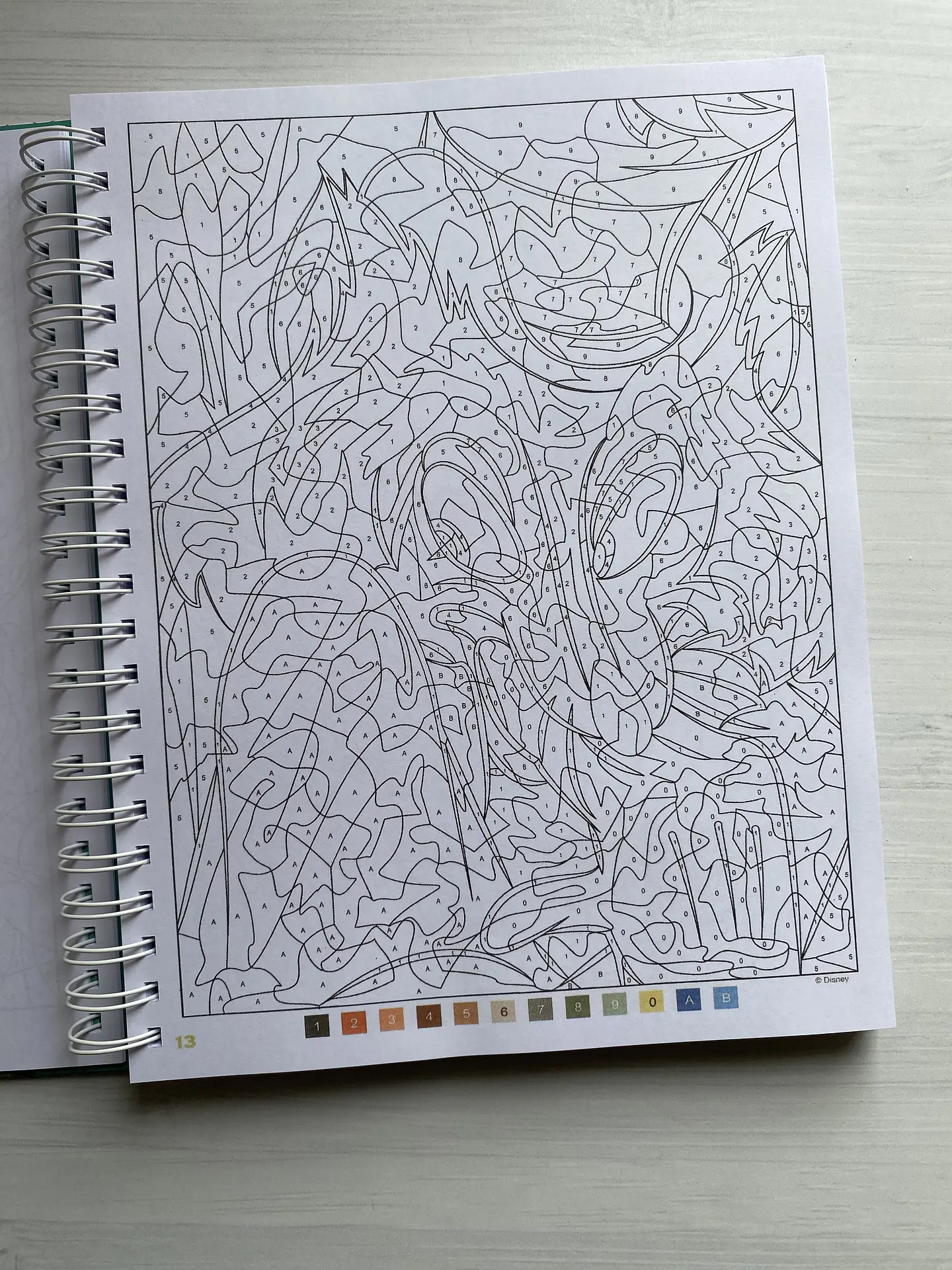 Libro para colorear 