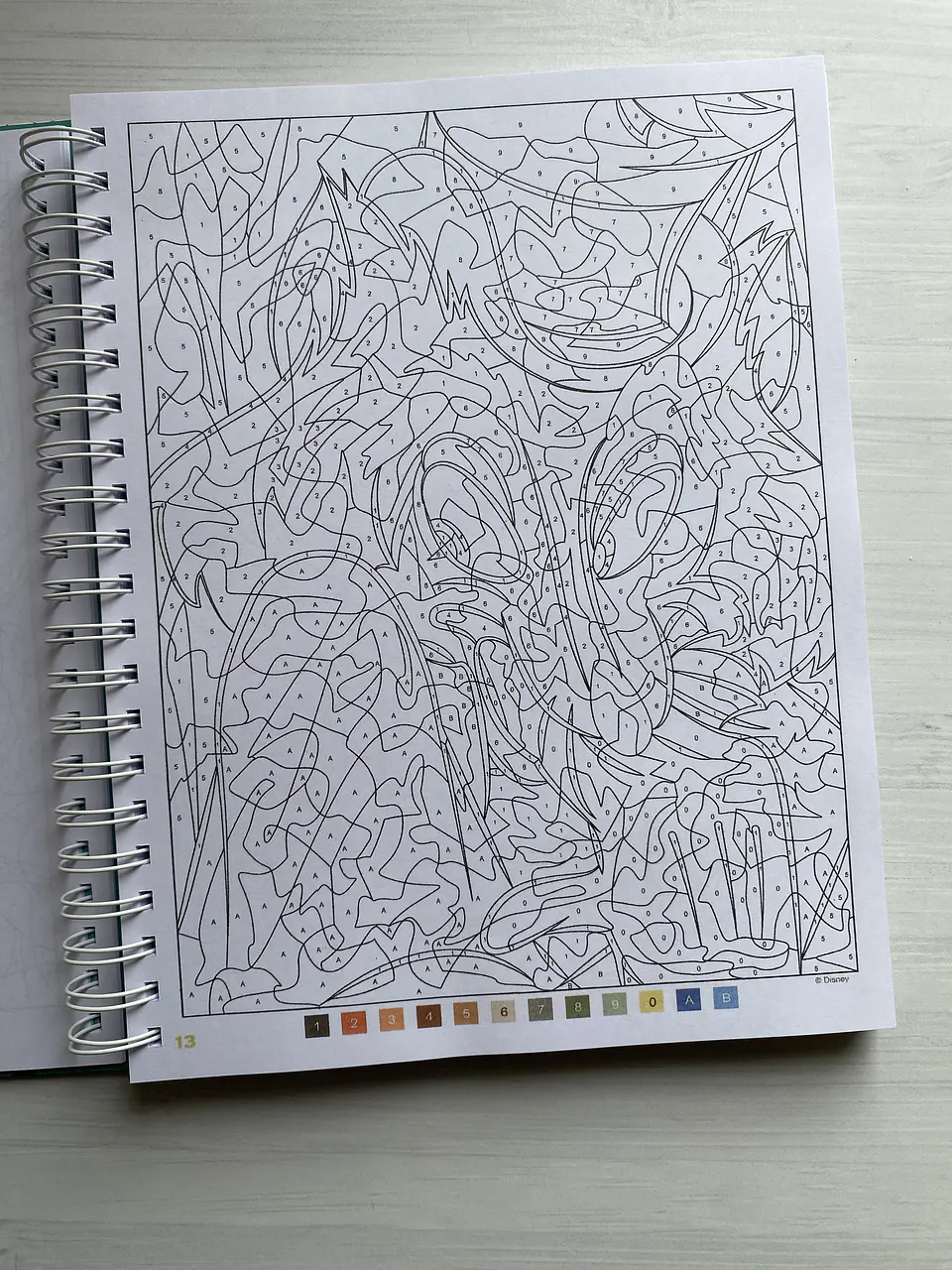 Libro para colorear 