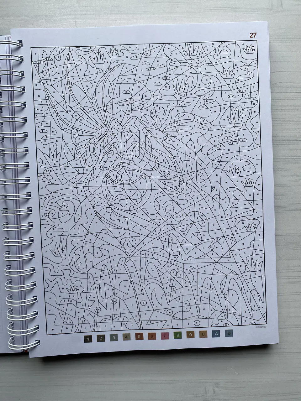 Libro para colorear 
