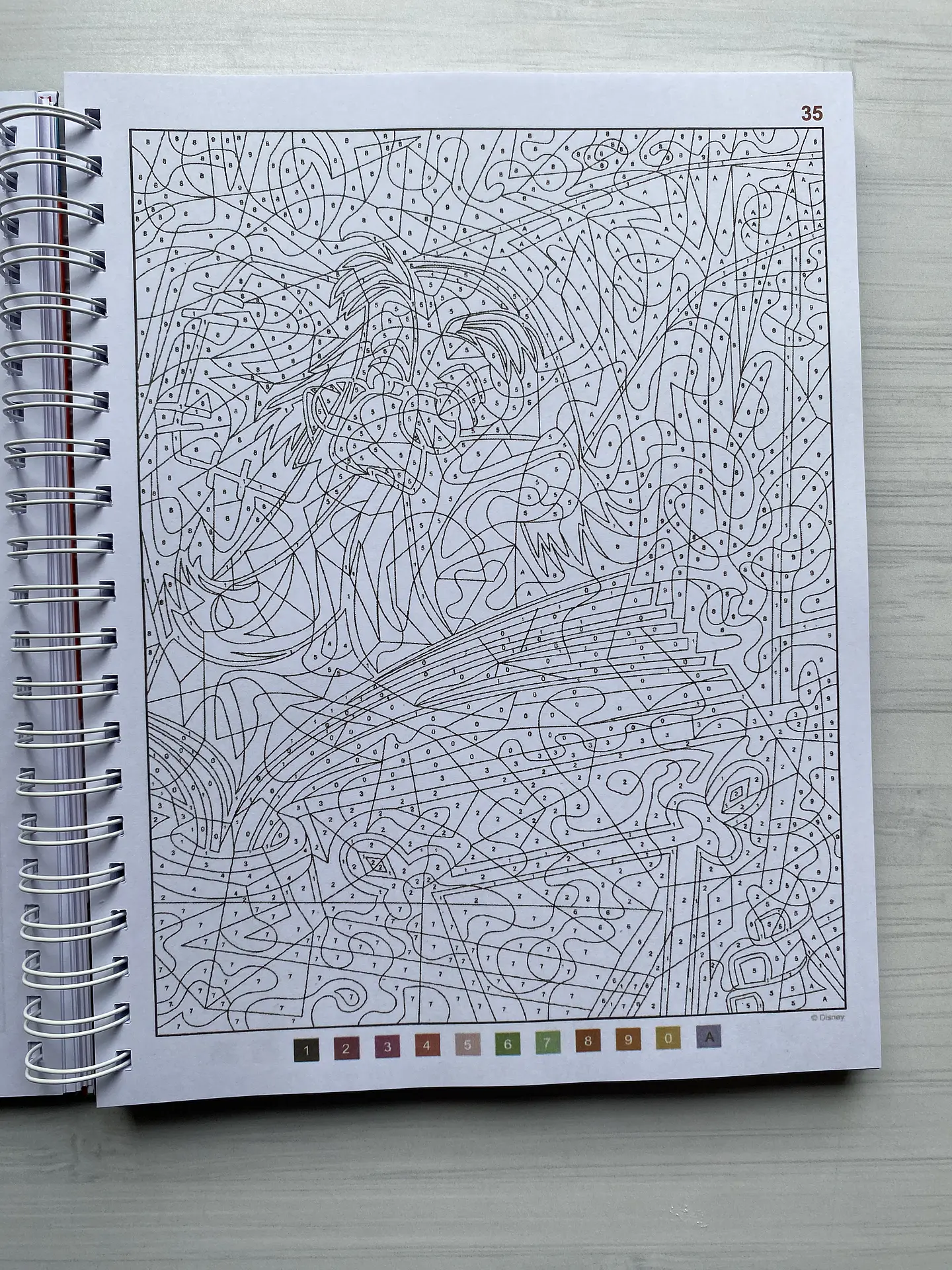 Libro para colorear 