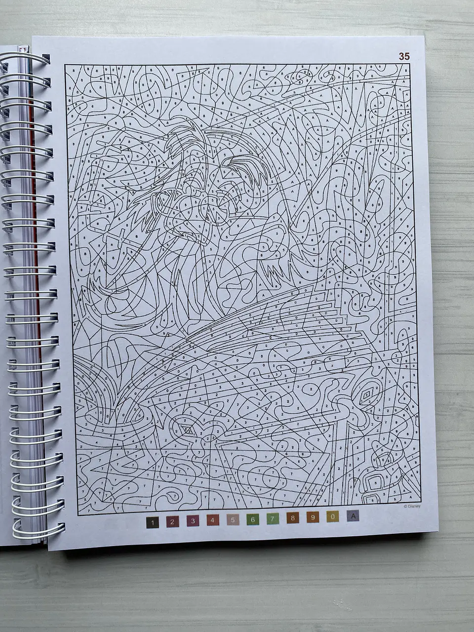 Libro para colorear 