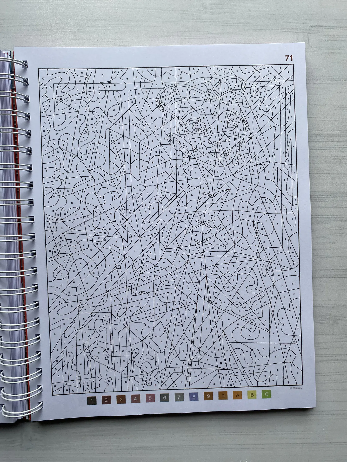 Libro para colorear 