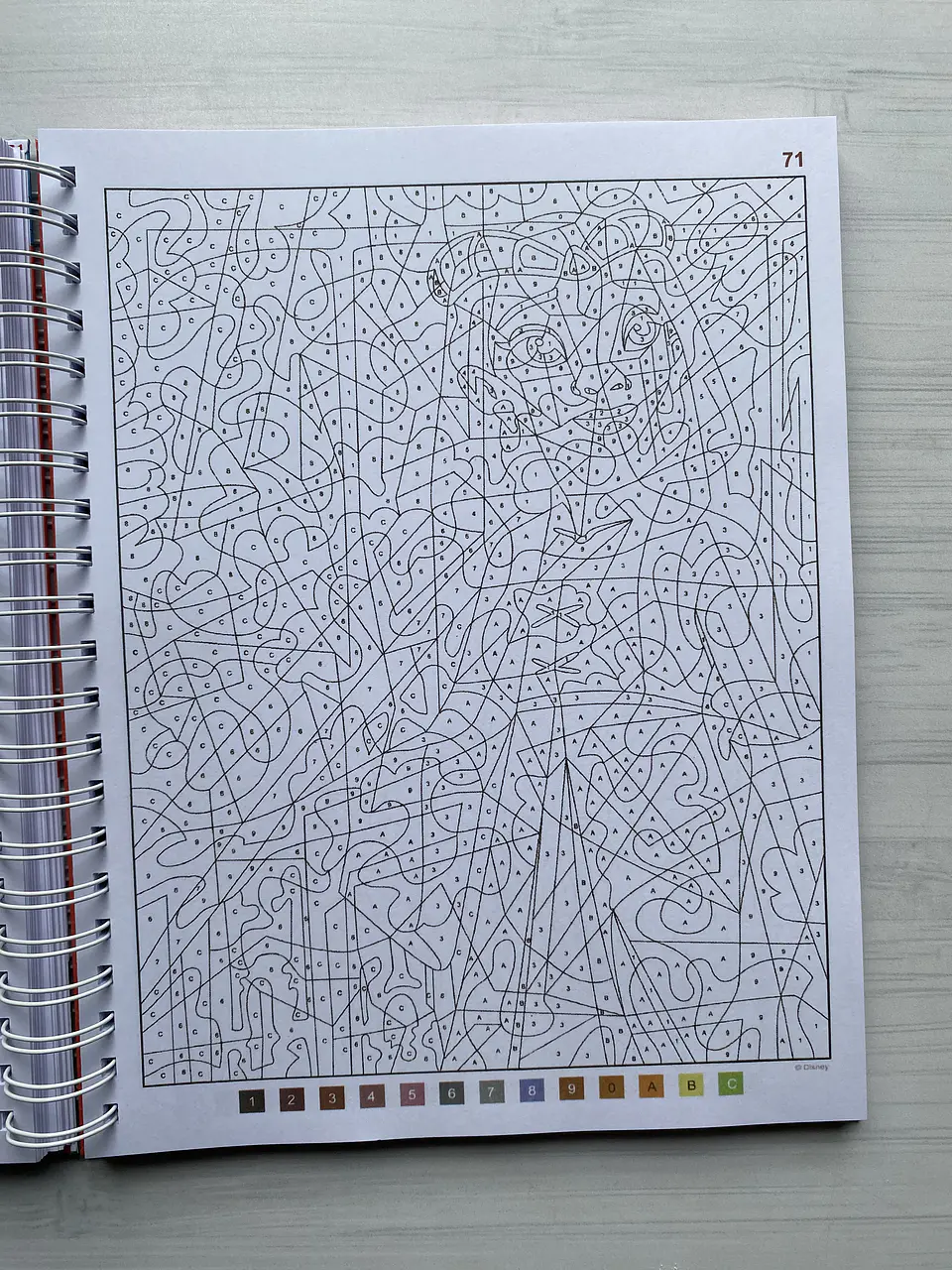 Libro para colorear 