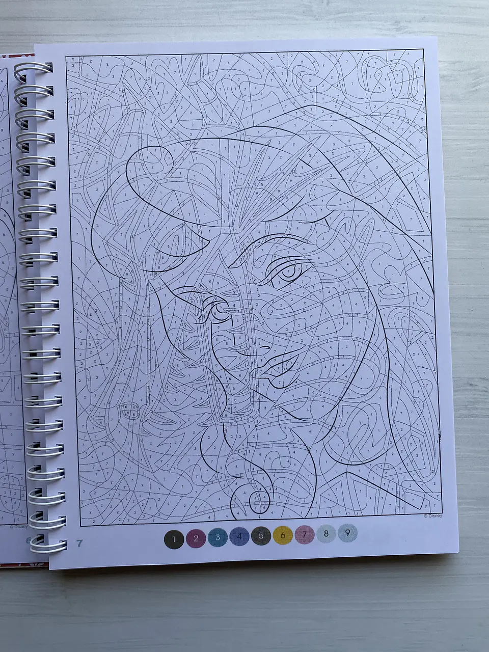 Libro para colorear 