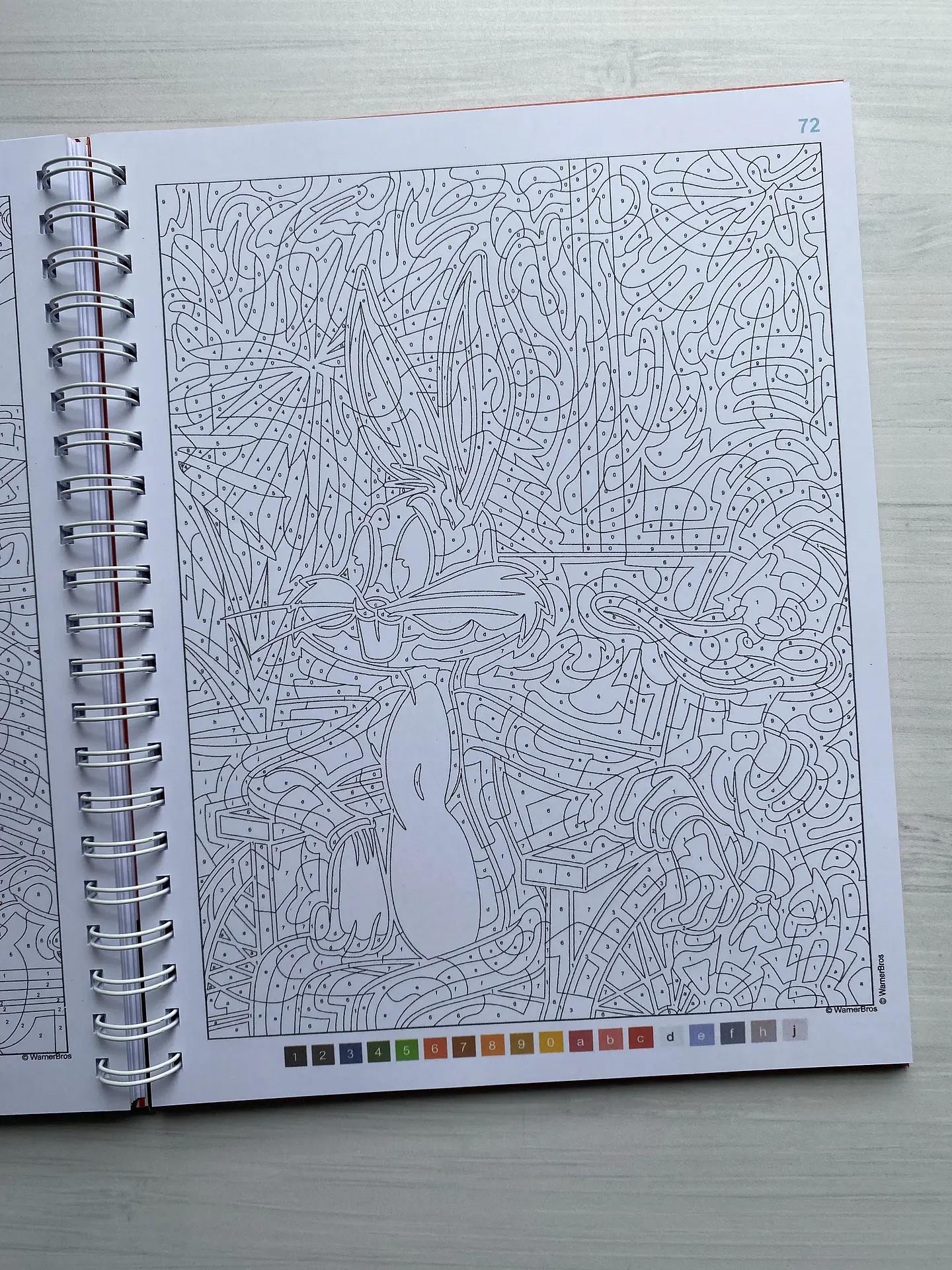 Libro para colorear 