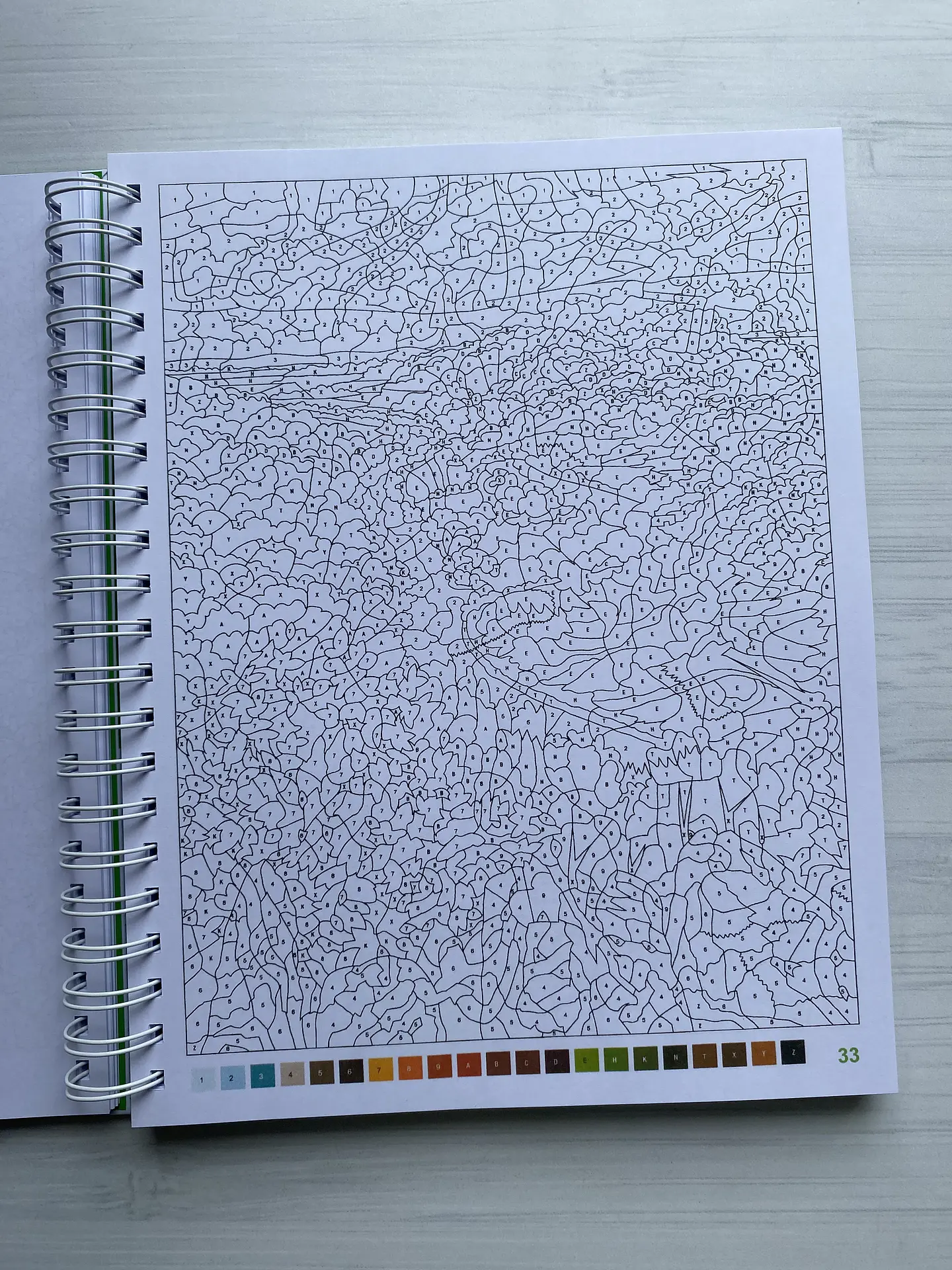 Libro para colorear 