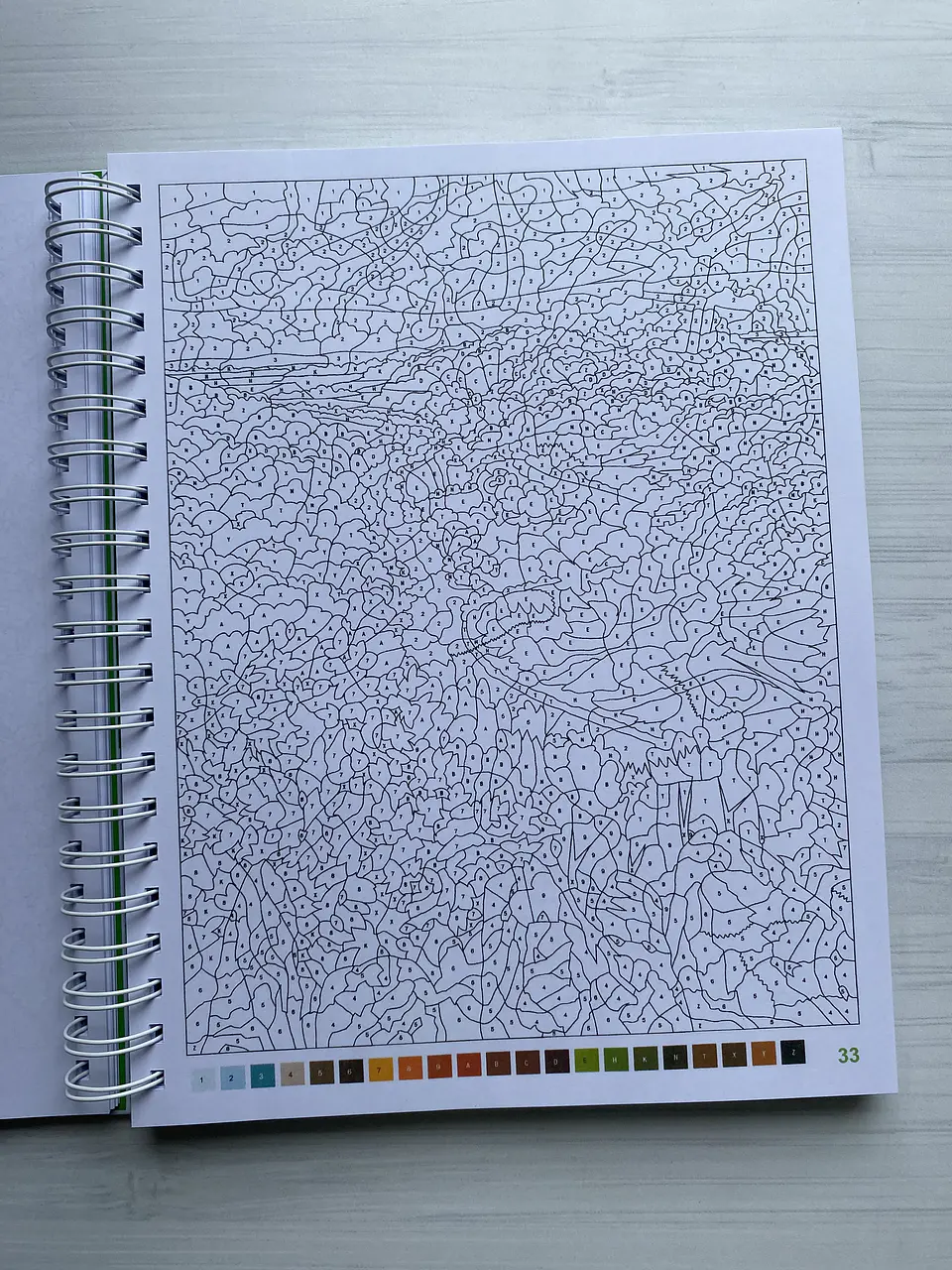 Libro para colorear 