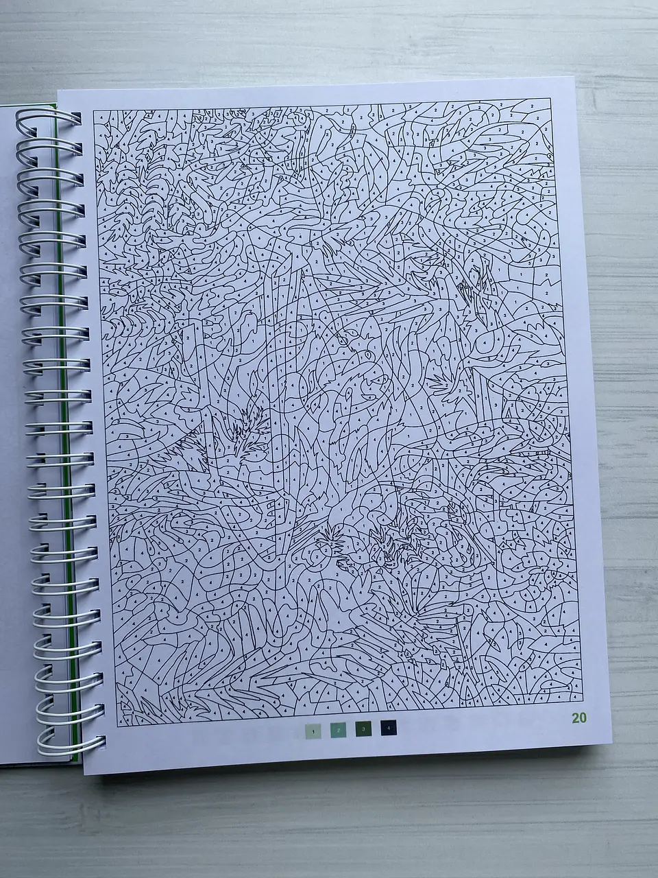 Libro para colorear 