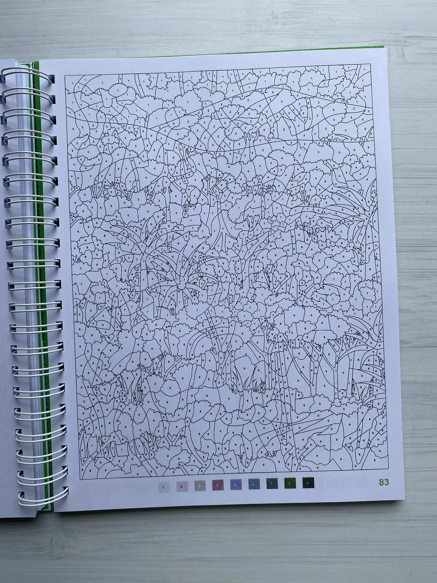 Libro para colorear 