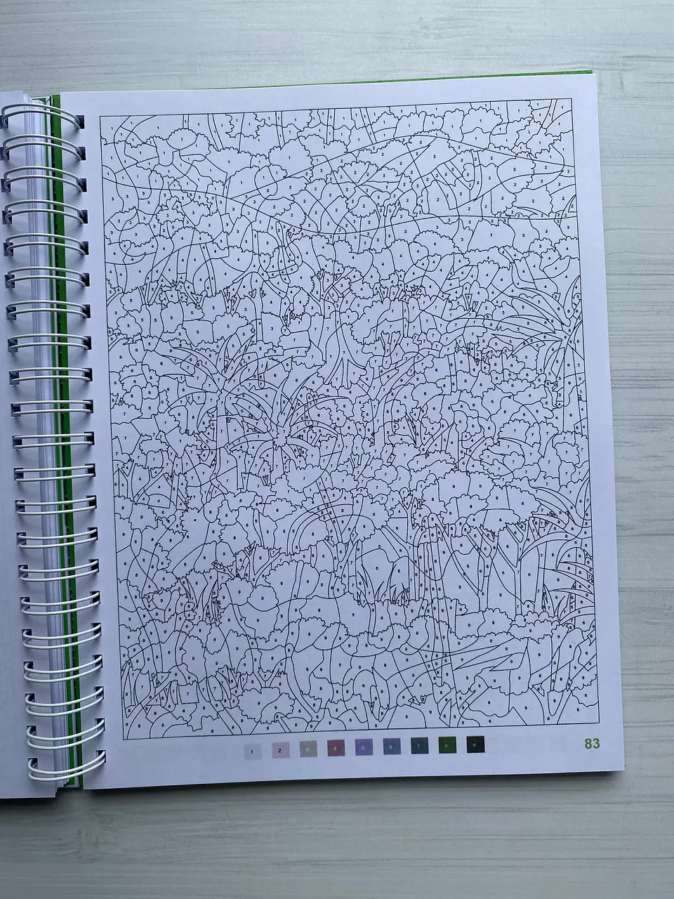 Libro para colorear 