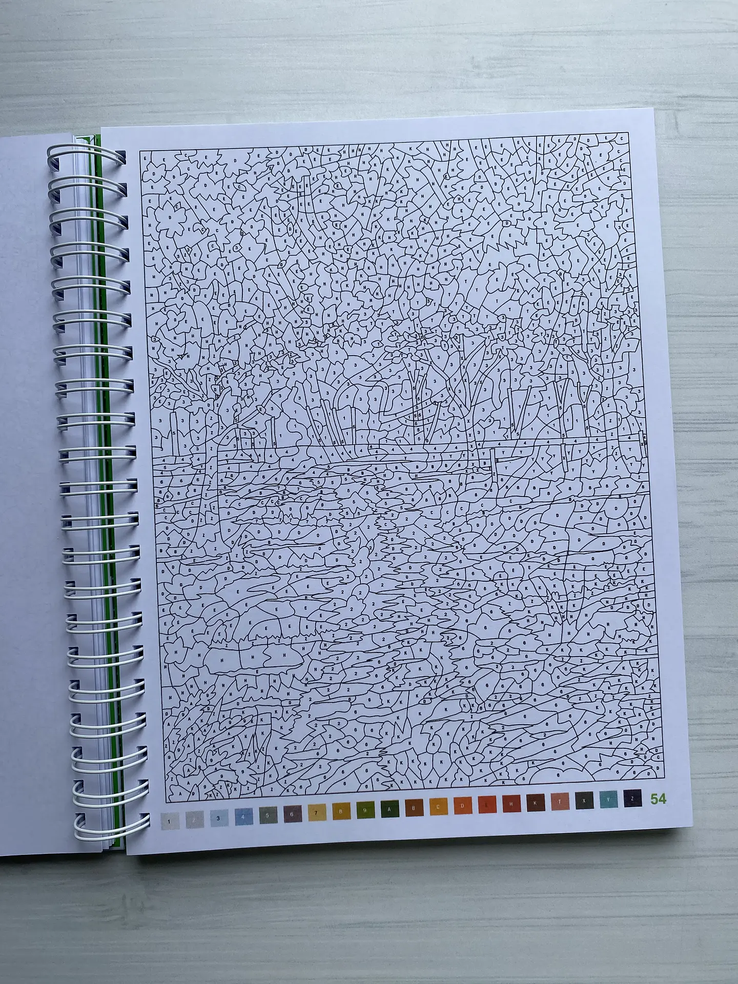 Libro para colorear 
