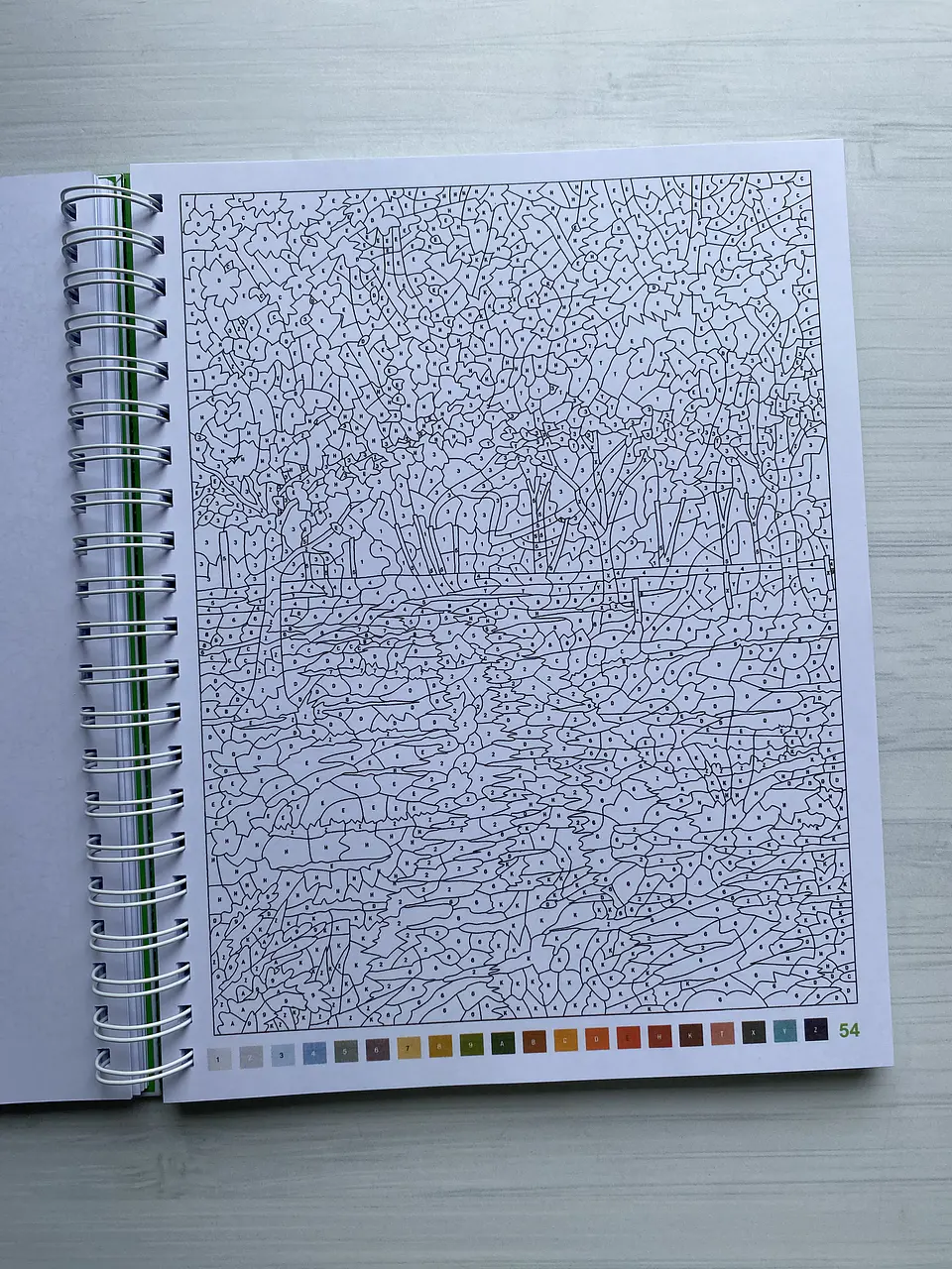 Libro para colorear 