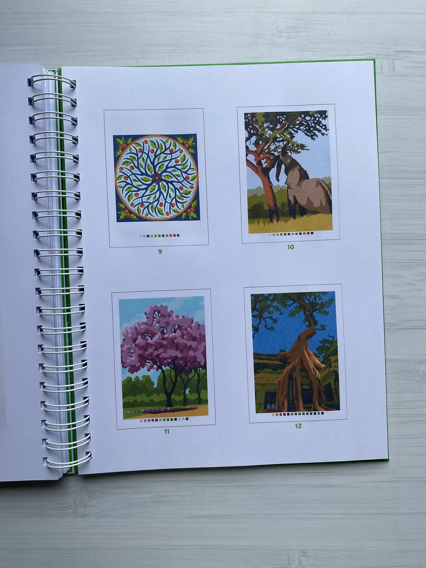Libro para colorear 