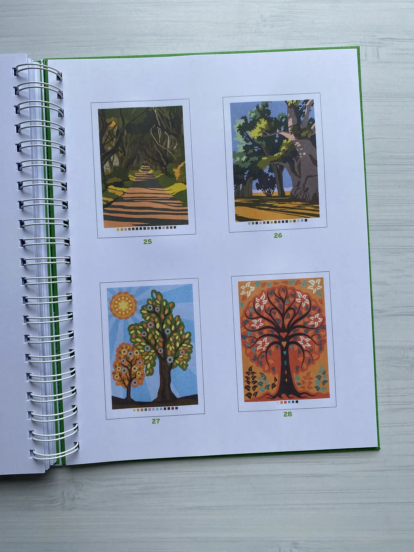 Libro para colorear 
