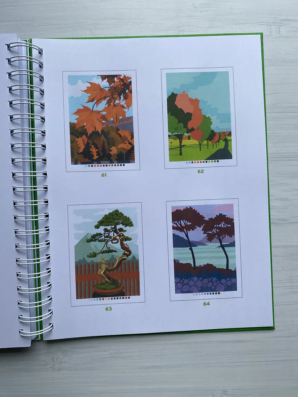 Libro para colorear 