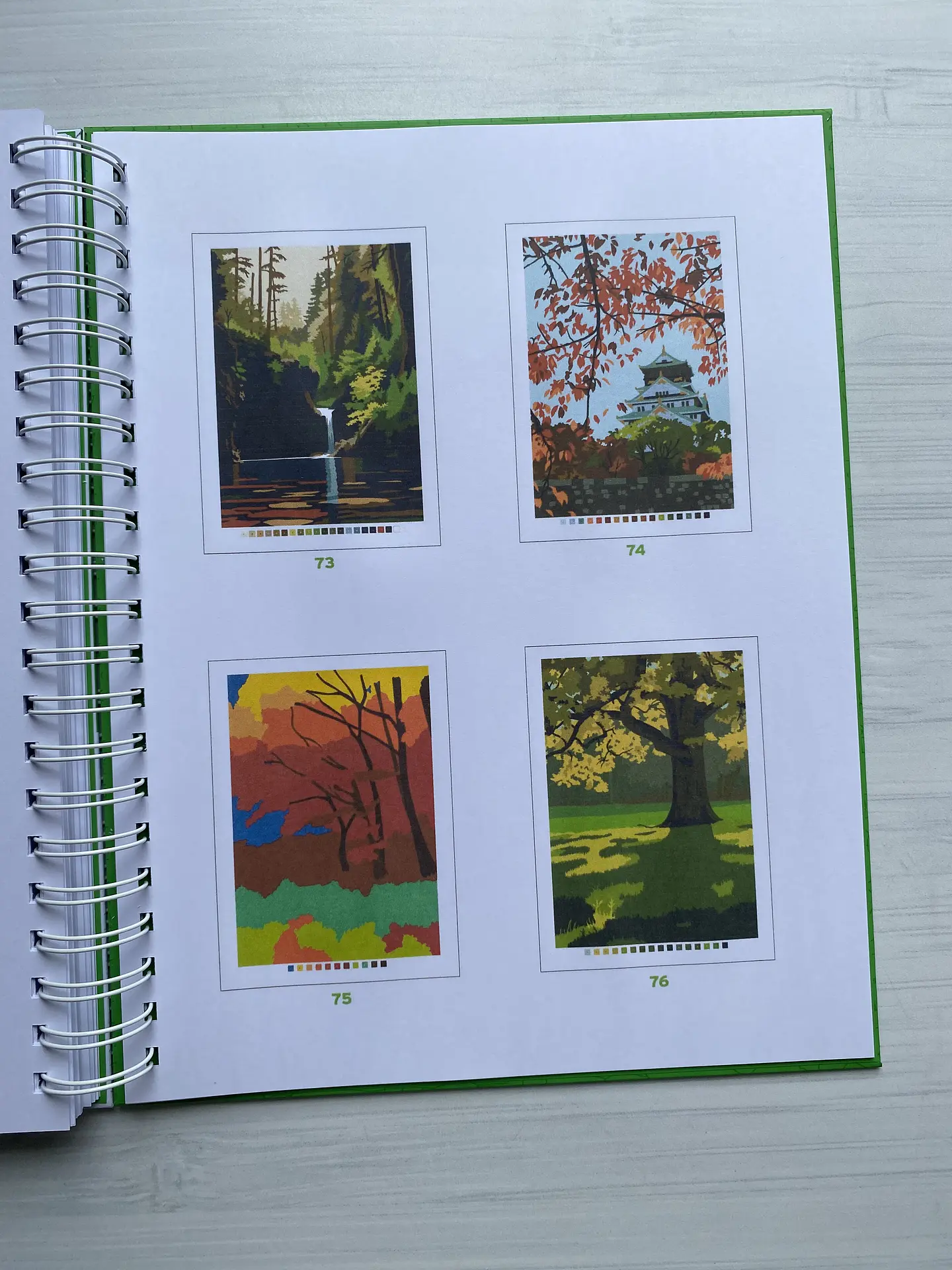 Libro para colorear 