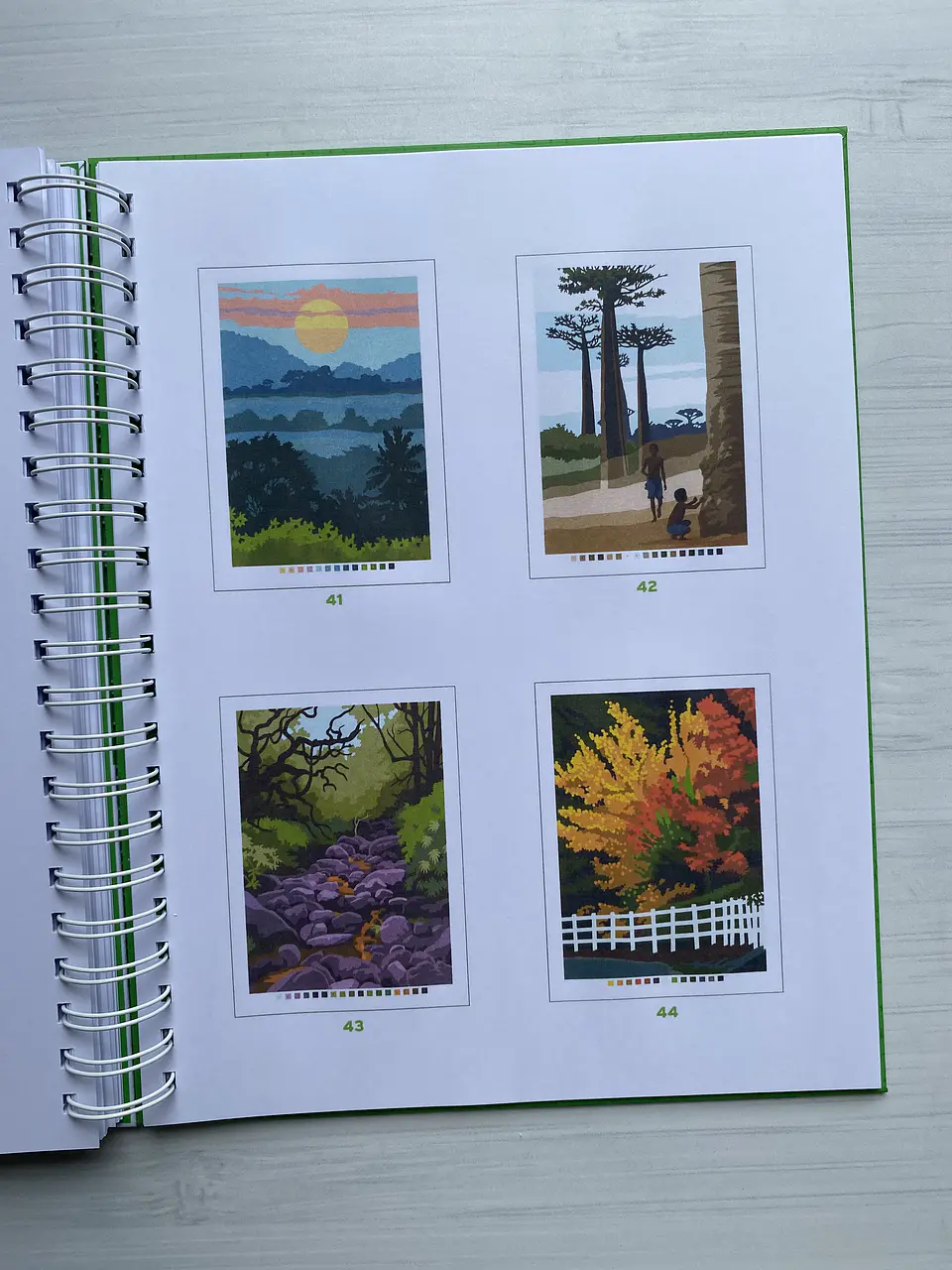 Libro para colorear 