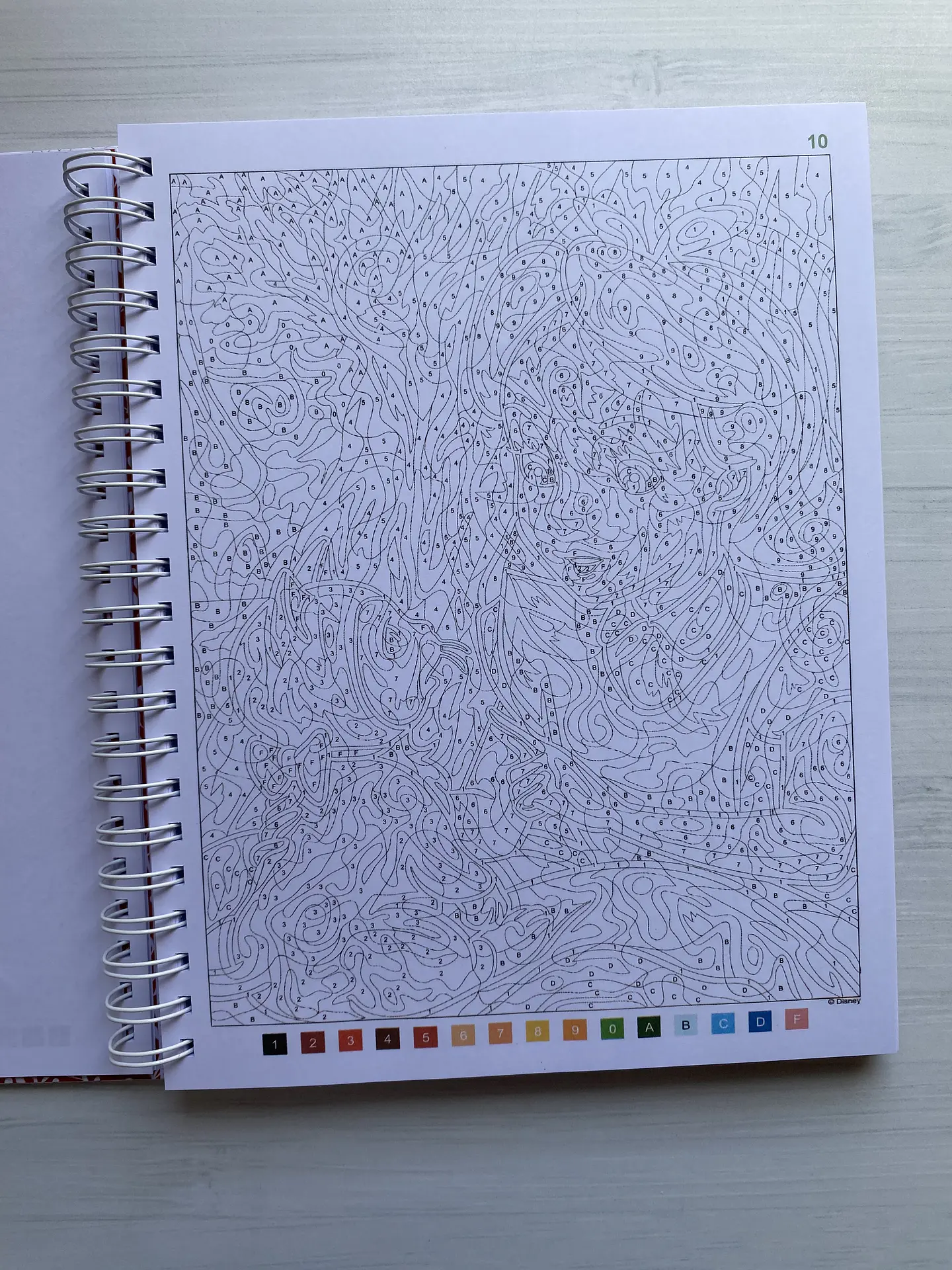 Libro para colorear 