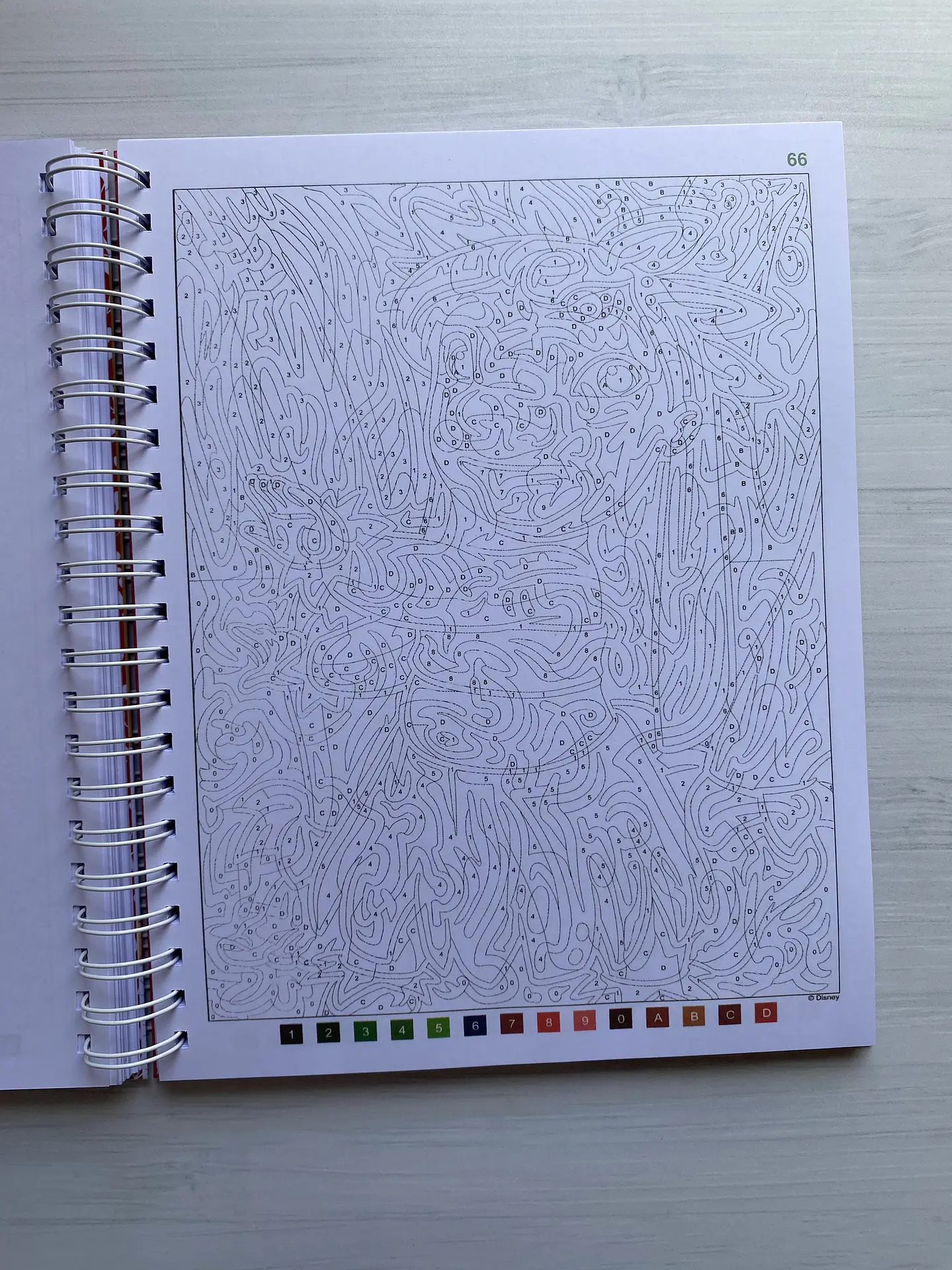 Libro para colorear 