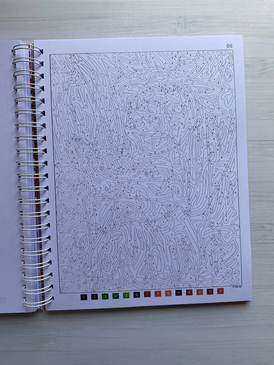 Libro para colorear 