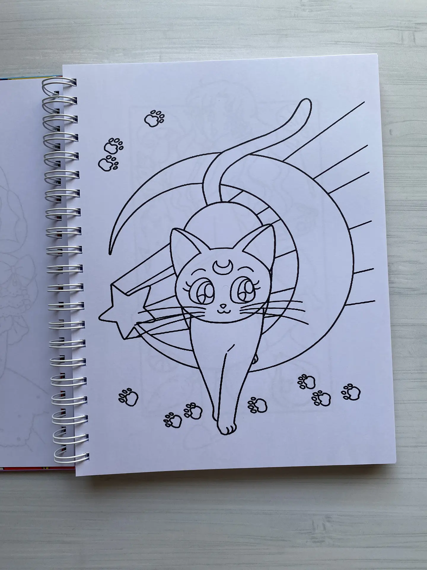 Libro para colorear “Sailor Moon” 2