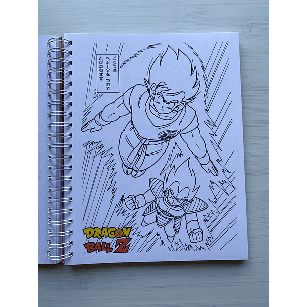 Imagen de un libro para colorear con diversos diseños