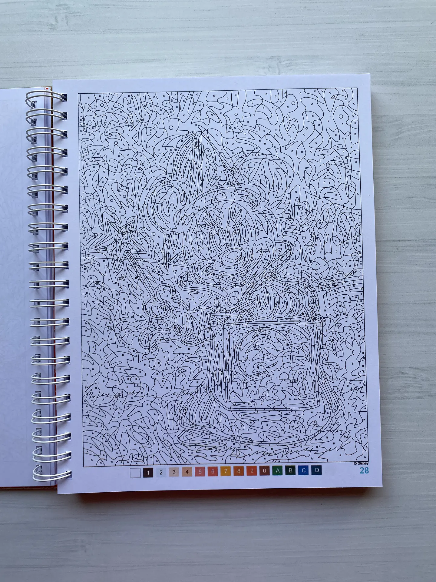 Libro para colorear “Hadas, Brujos y Magos” 2