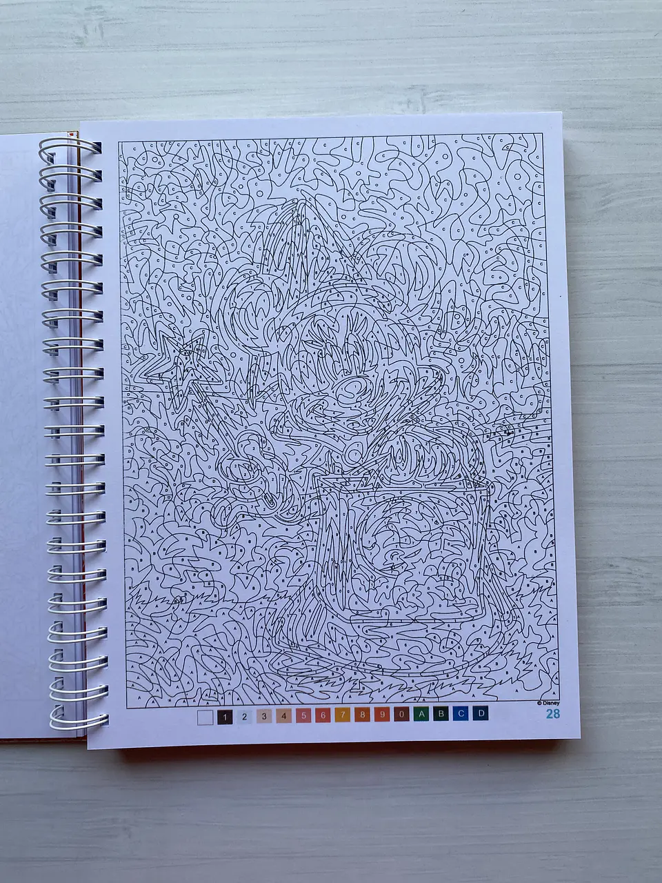 Libro para colorear “Hadas, Brujos y Magos” 2