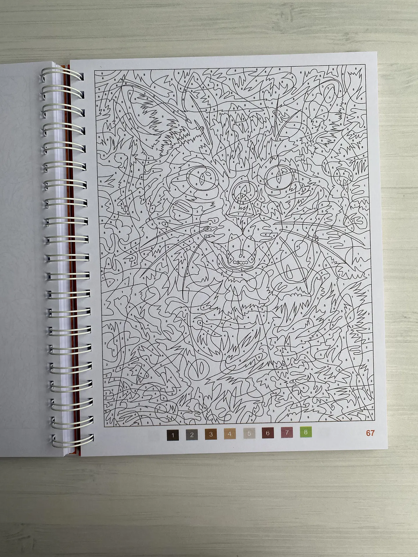 Libro para colorear 