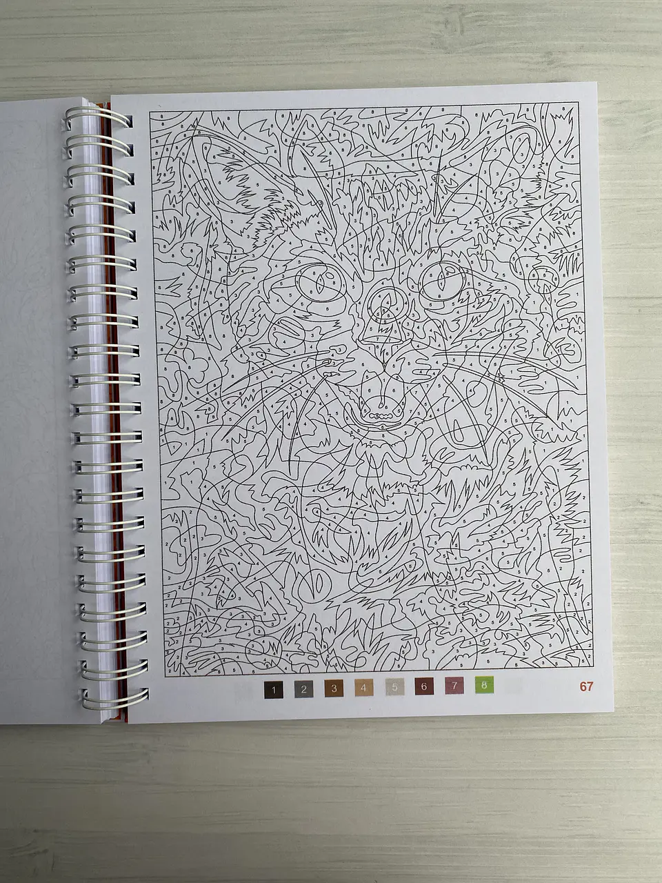 Libro para colorear 