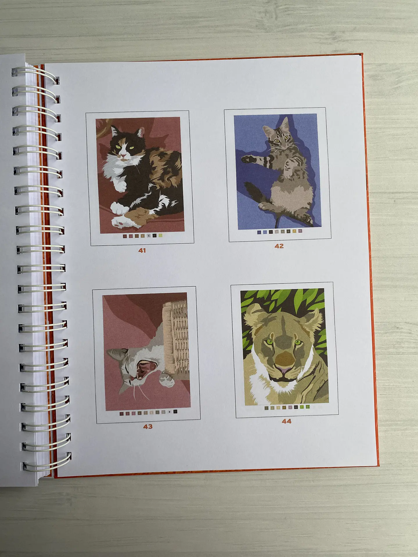 Libro para colorear 