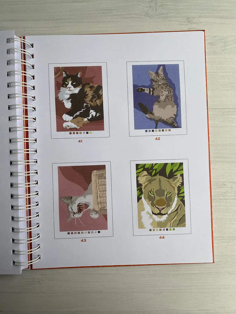 Libro para colorear 