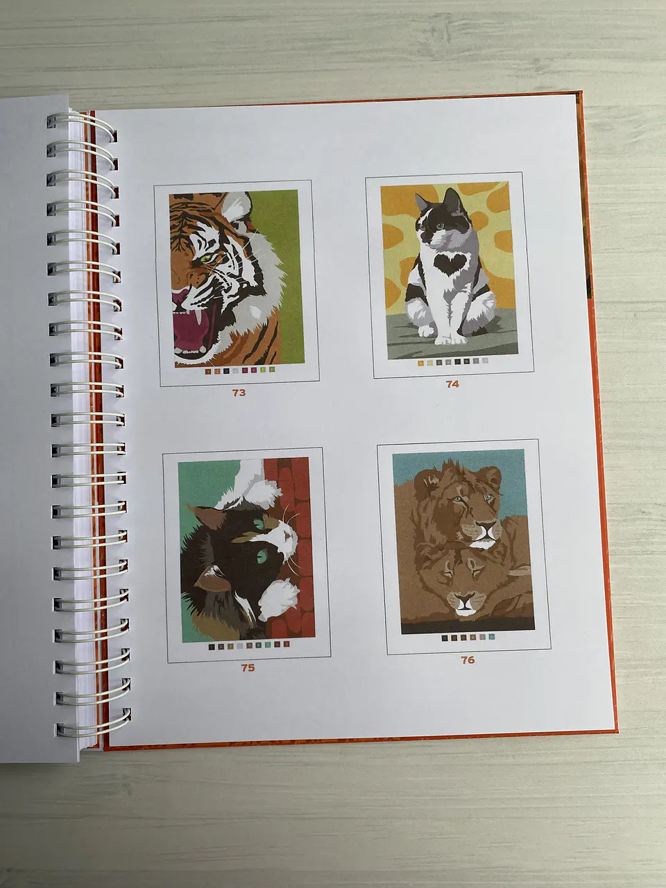 Libro para colorear 