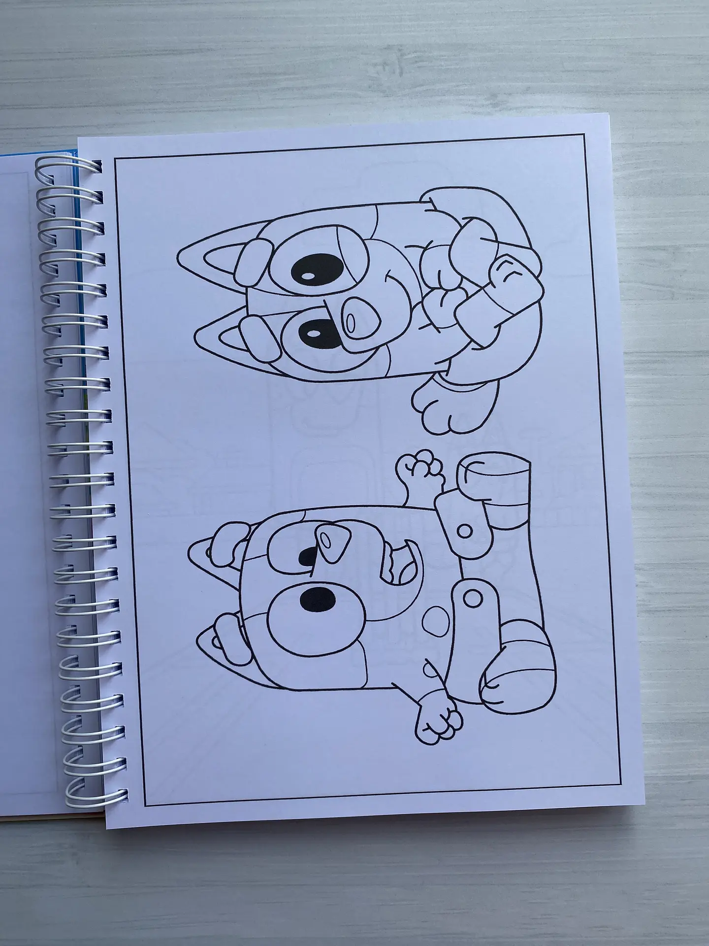 Libro para colorear “Bluey” (100 imágenes) 2