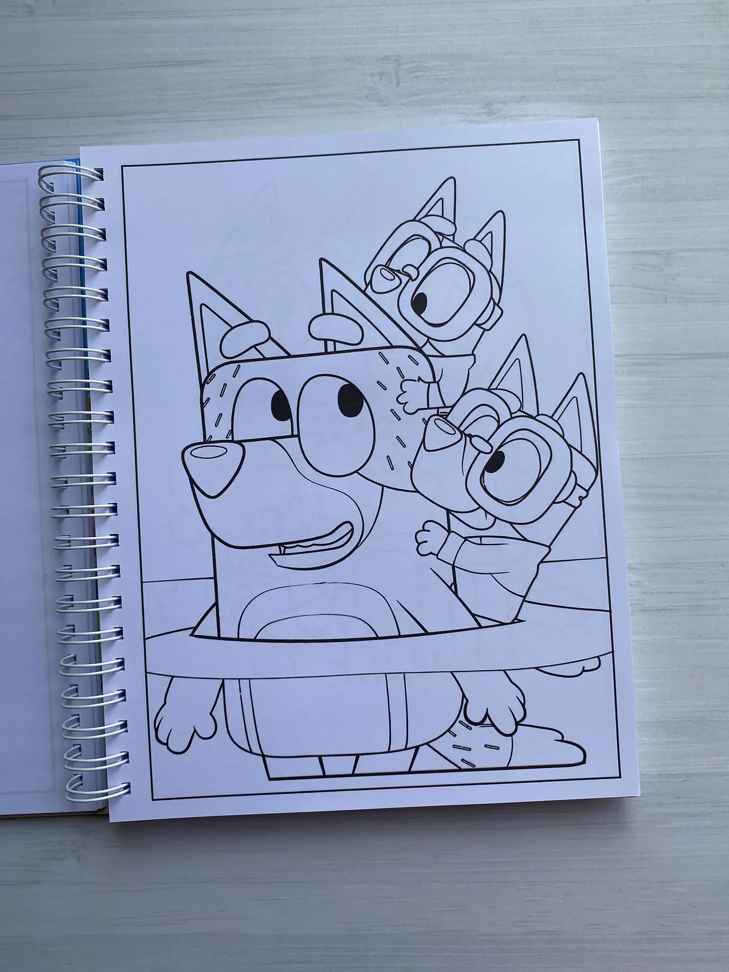 Libro para colorear “Bluey” (100 imágenes) 3