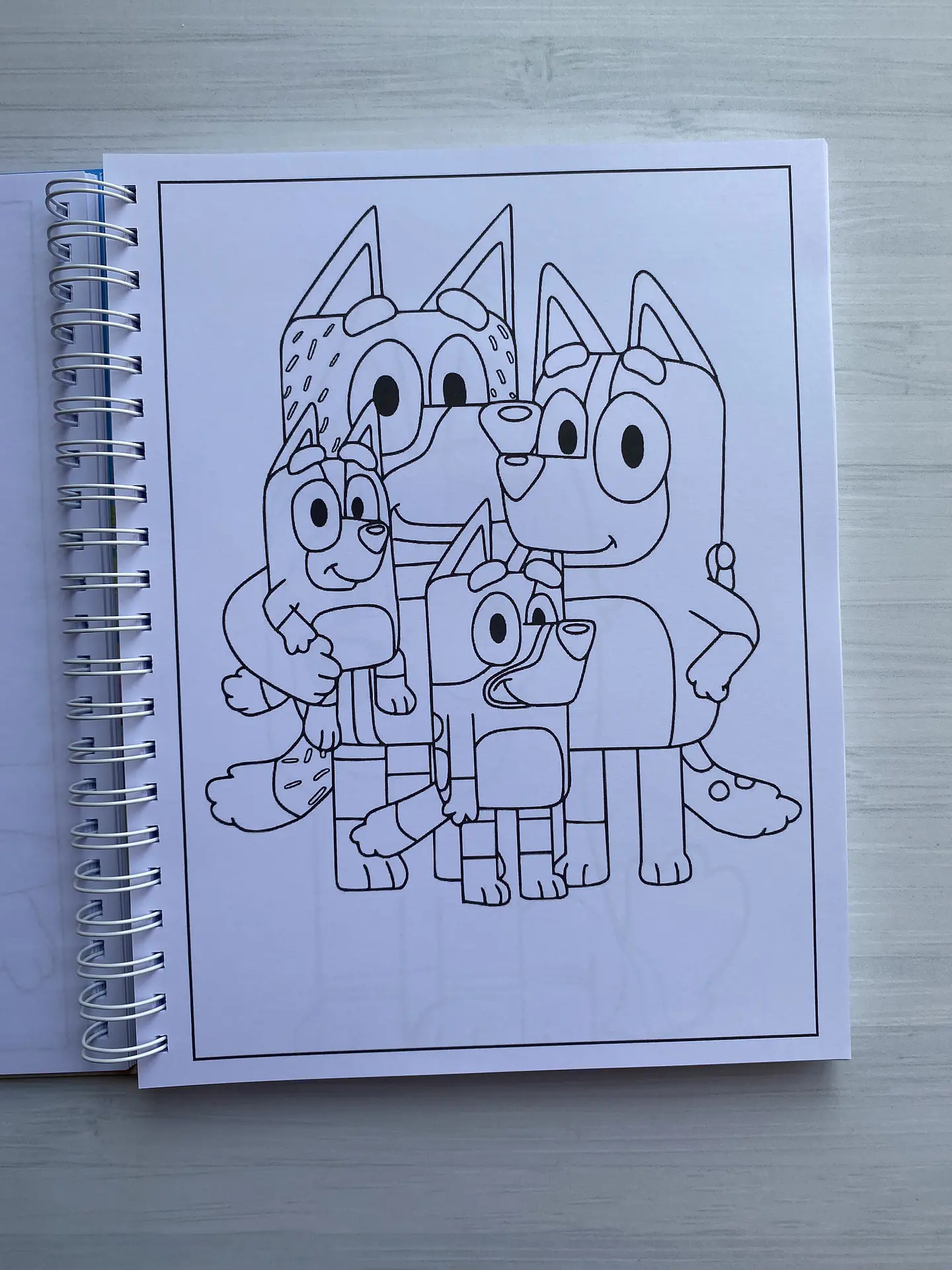 Libro para colorear “Bluey” (100 imágenes) 4