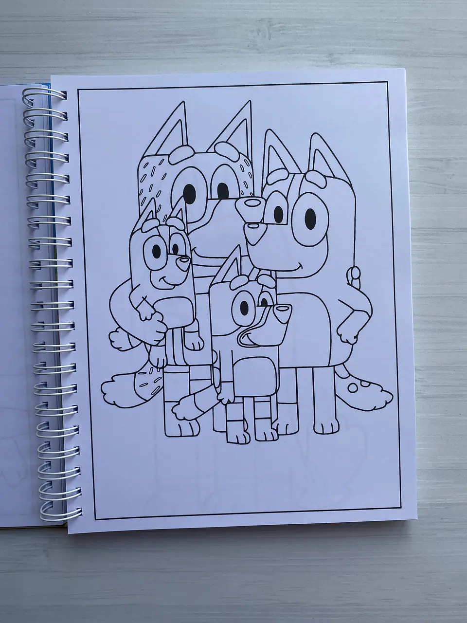 Libro para colorear “Bluey” (100 imágenes) 4