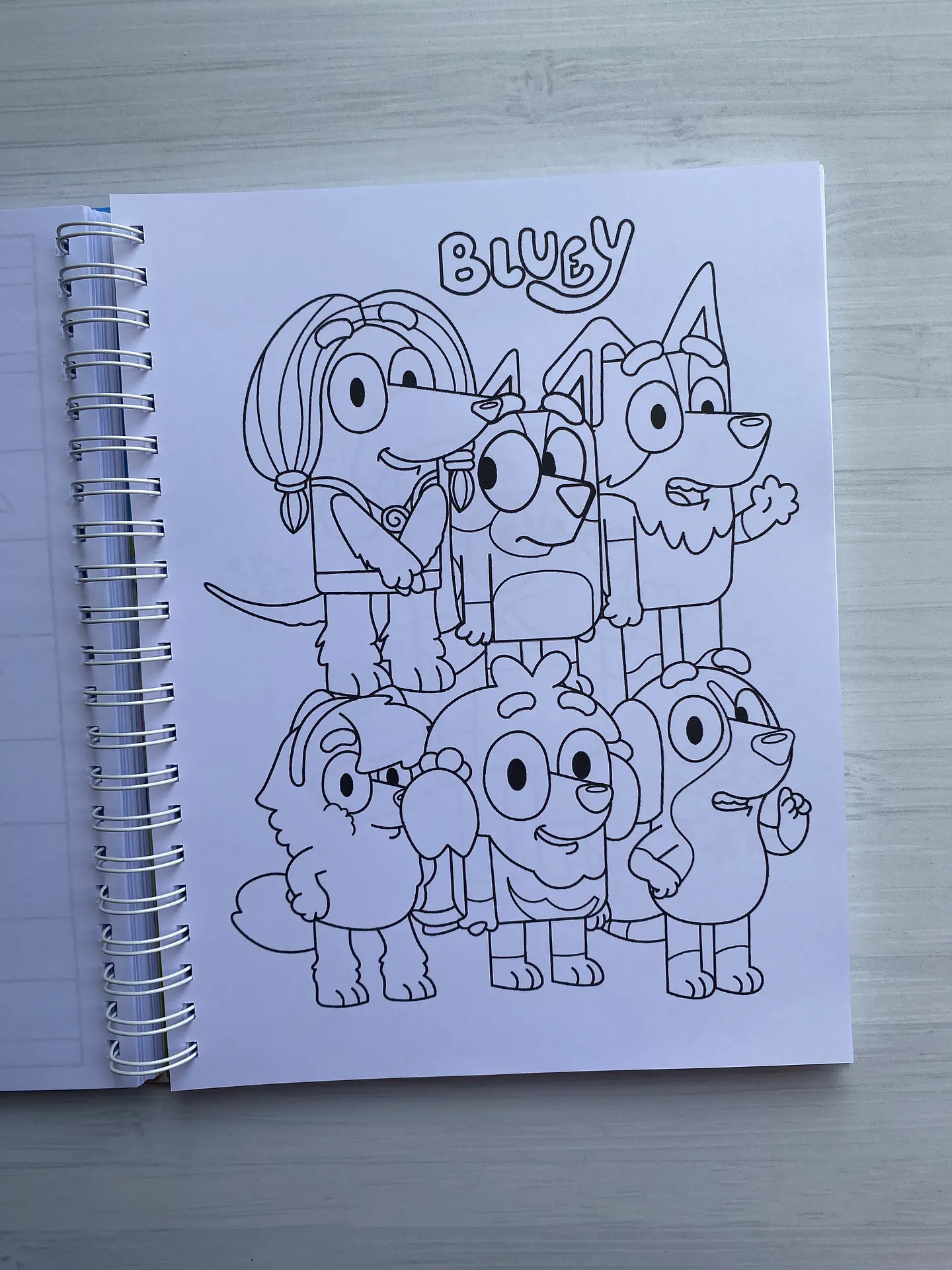 Libro para colorear “Bluey” (100 imágenes) 6