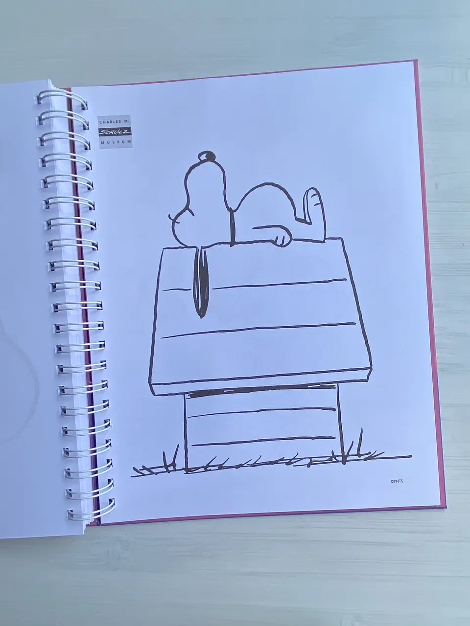Libro para colorear “Peanuts” 7