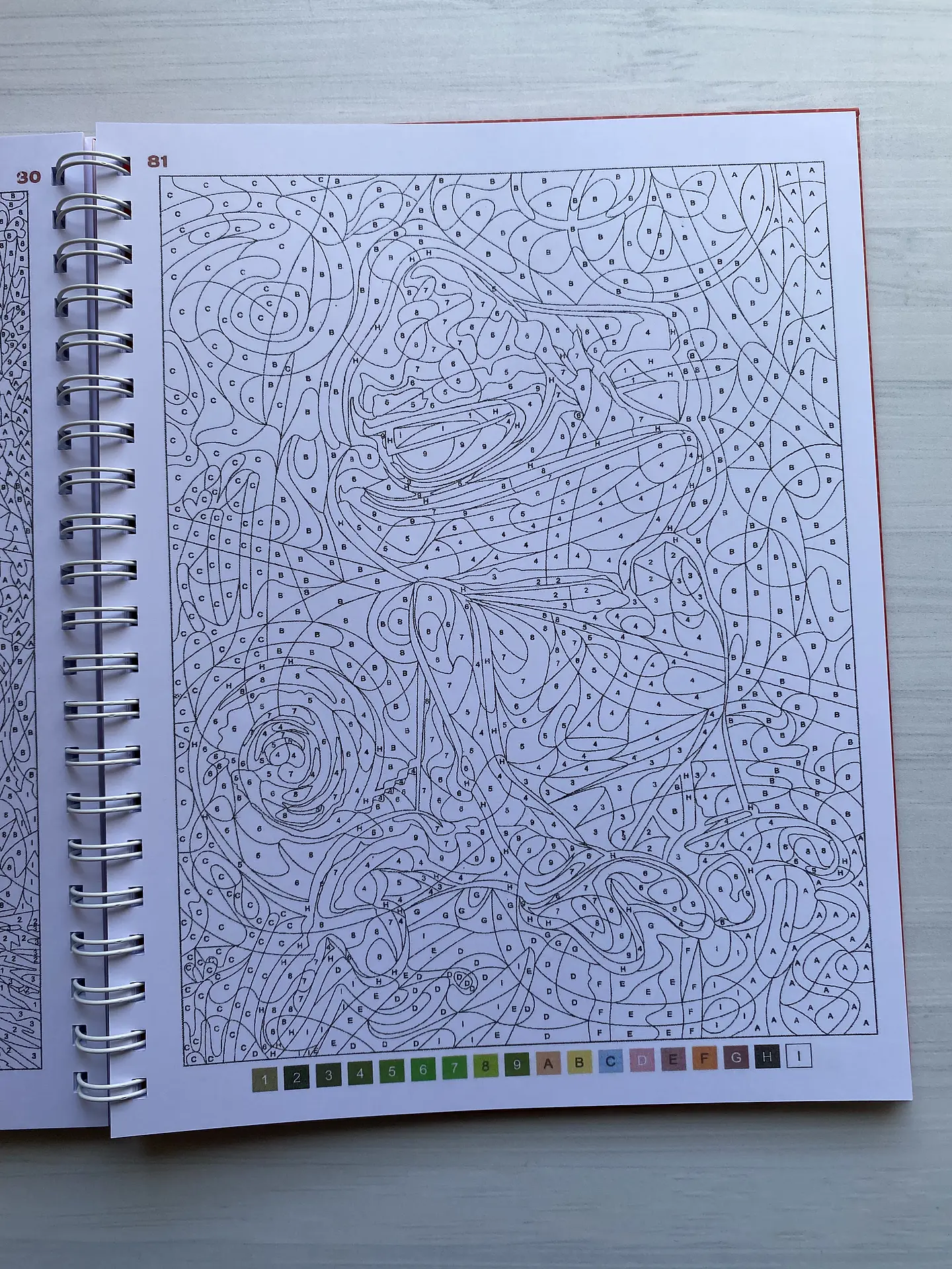 Libro para colorear 