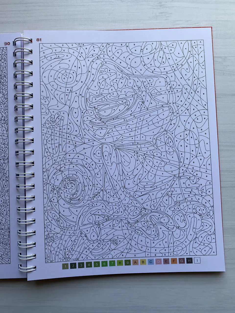 Libro para colorear 