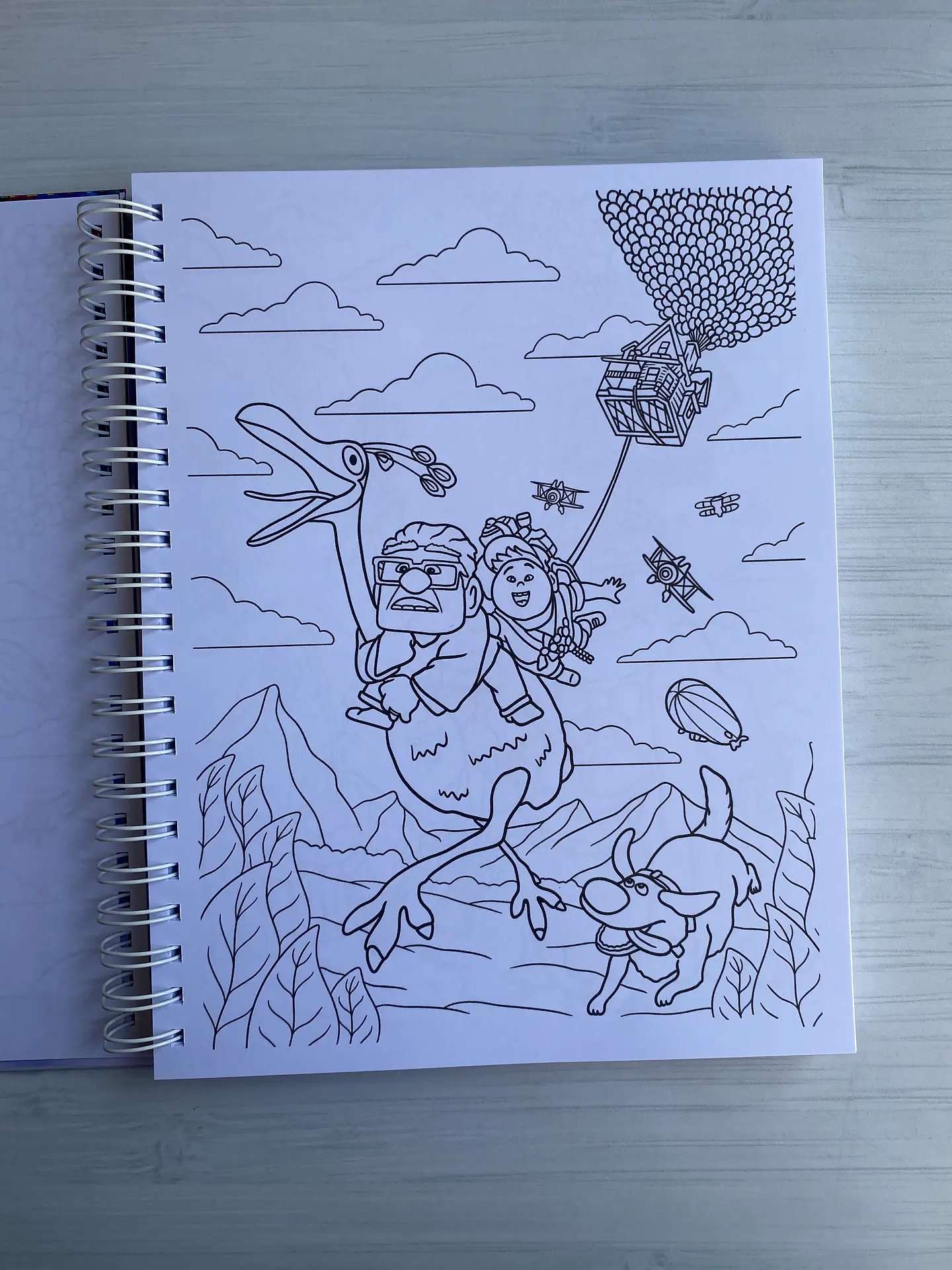 Libro para colorear “UP” 2