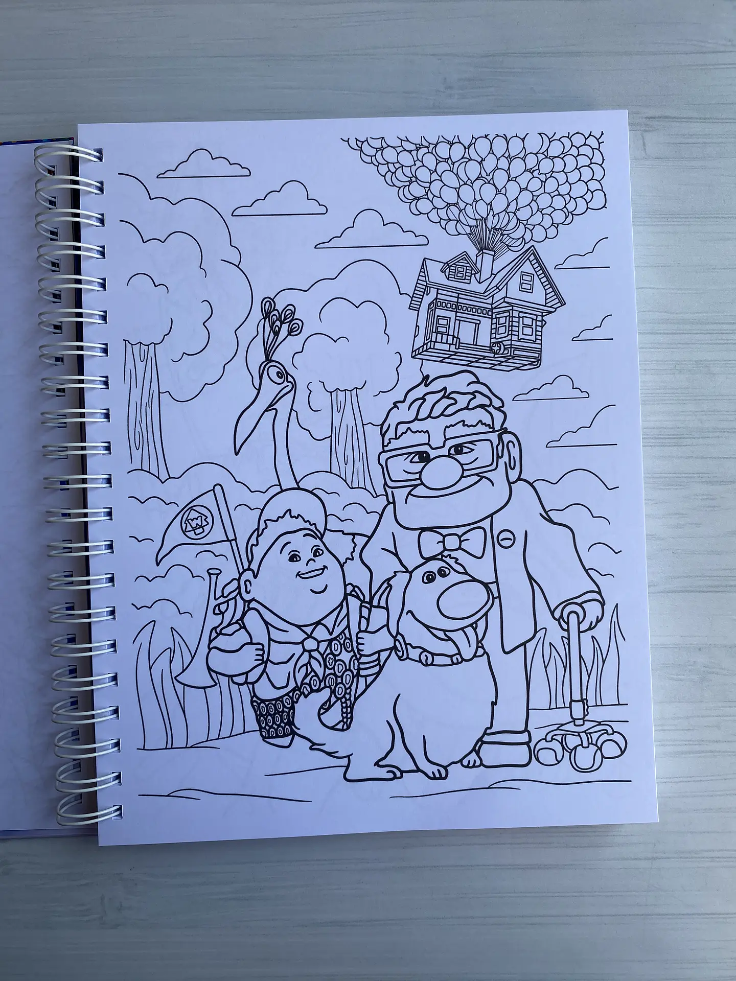 Libro para colorear “UP” 3